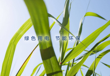 【签约】东莞市绿源电气科技有限公司-营销型网站建设