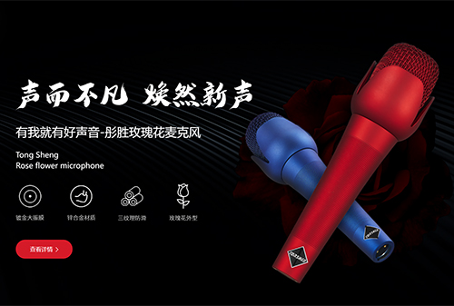 电脑端/手机端/品牌网站设计/中英文网站